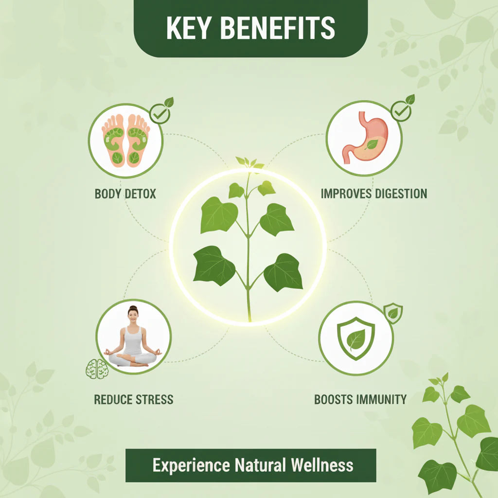 Herbal Giloy Detox Foot Patches | Body Detox Support, Stress Relief(1 BOX = 20 PATCHES-Buy 1 Get 3Free🔥🔥)