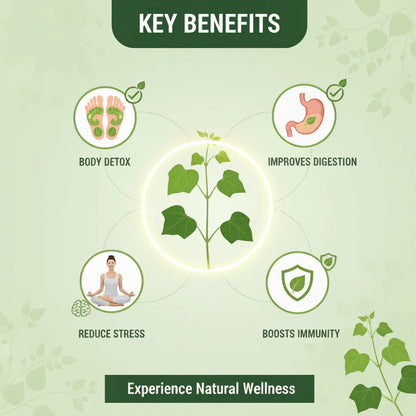 Herbal Giloy Detox Foot Patches | Body Detox Support, Stress Relief(1 BOX = 20 PATCHES-Buy 1 Get 3Free🔥🔥)